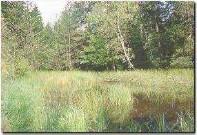 Krajinski park Rački ribniki - Požeg 3